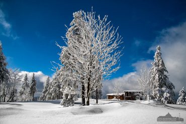 Fotokurs Landschaftsfotografie im Winter auf dem Wurmberg bei Braunlage im Harz
