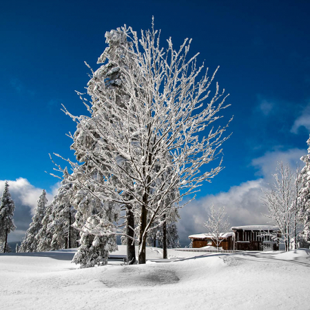 Fotokurs Landschaftsfotografie im Winter auf dem Wurmberg bei Braunlage im Harz