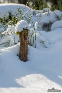 Fotokurs Landschaftsfotografie im Winter auf dem Wurmberg bei Braunlage im Harz