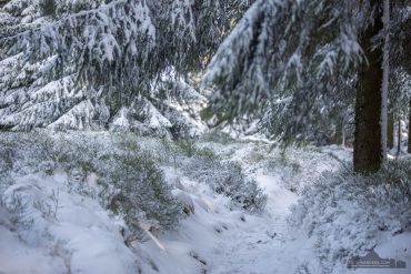 Fotokurs Landschaftsfotografie im Winter auf dem Wurmberg bei Braunlage im Harz