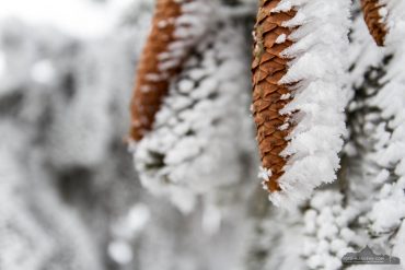 Fotokurs Landschaftsfotografie im Winter auf dem Wurmberg bei Braunlage im Harz