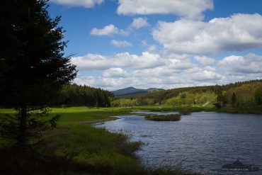 Fotokurs an der Talsperre Mandelholz