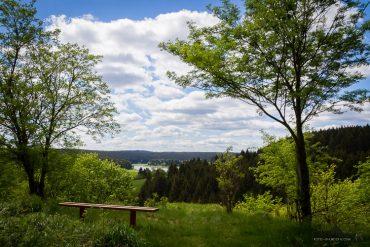 Fotokurs an der Talsperre Mandelholz