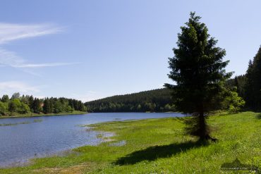 Fotokurs an der Talsperre Mandelholz