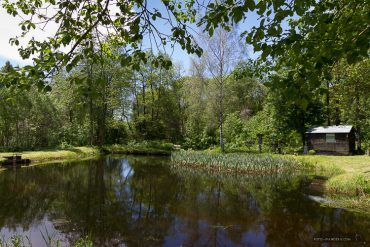 Fotokurs an der Talsperre Mandelholz