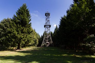 Fotokurs im Naturpark Südharz