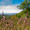 Fotokurs im Naturpark Südharz