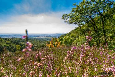Fotokurs im Naturpark Südharz