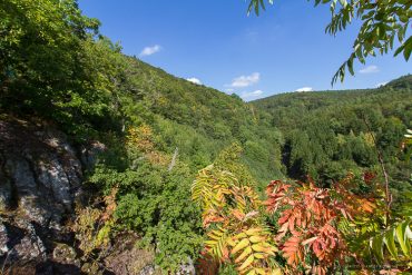 Fotokurs im Naturpark Südharz