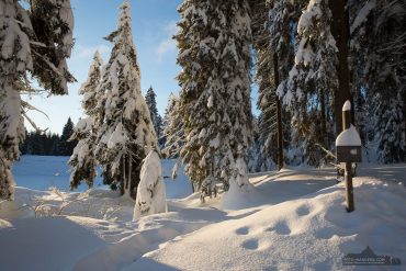 Fotowanderung um den Oderteich