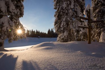 Fotowanderung um den Oderteich