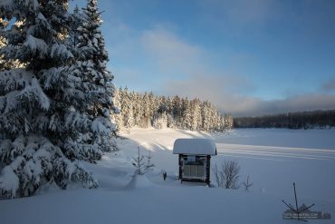 Fotowanderung um den Oderteich