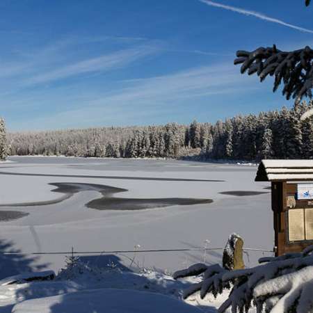 Fotowanderung um den Oderteich