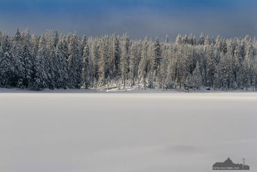 Fotowanderung um den Oderteich