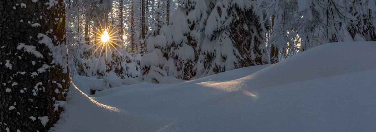 Frohe Weihnachten 2017