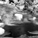 Langzeitbelichtung im Winter im Harz