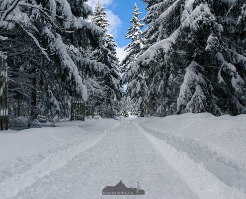 Winter im Harz