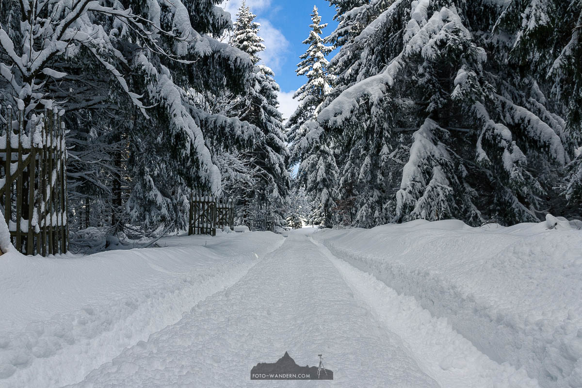 Winter im Harz