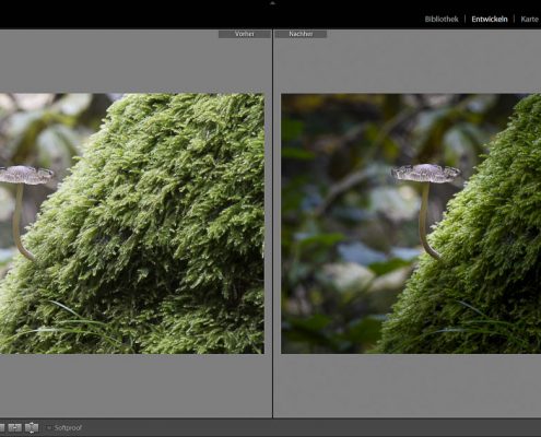 Fotokurs Bildverwaltung und Bildbearbeitung mit Adobe Lightroom CC Foto-Wandern.com