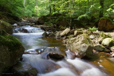 Landschaftsfotografie im Ilsetal, Harz