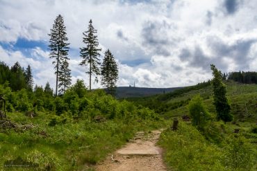 Landschaftsfotografie im Ilsetal, Harz