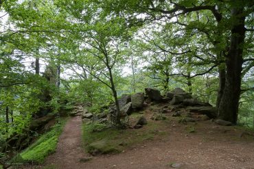 Landschaftsfotografie im Ilsetal, Harz