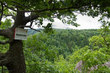 Fotokurs Landschaftsfotografie im Selketal, Harz