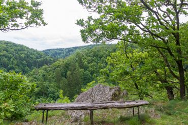 Fotokurs Landschaftsfotografie im Selketal, Harz -Magdetrappe