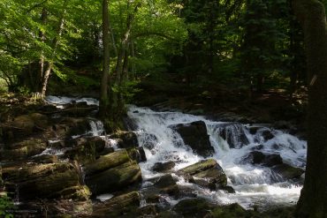 Fotokurs Landschaftsfotografie im Selketal, Harz - Selkefall