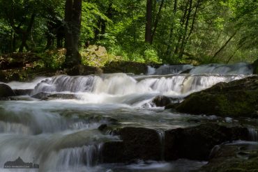 Fotokurs Landschaftsfotografie im Selketal, Harz - Selkefall