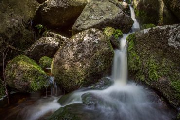 Fotokurs Langzeitbelichtung im Nationalpark Harz mit Foto-Wandern
