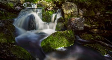 Fotokurs Langzeitbelichtung im Nationalpark Harz mit Foto-Wandern