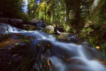 Fotokurs Langzeitbelichtung im Nationalpark Harz mit Foto-Wandern