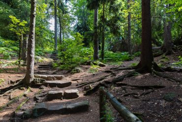 Fotokurs-Tage-im-Elbsandsteingebirge-Herbst 2017