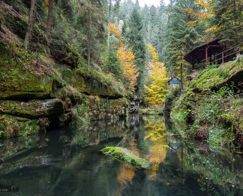 Fotokurs-Tage im Elbsandsteingebirge Herbst