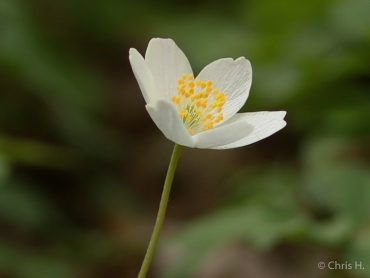 Fotokurs Landschaftsfotografie im Selketal © Chris Herling