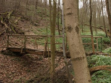 Fotokurs Landschaftsfotografie im Selketal © Chris Herling