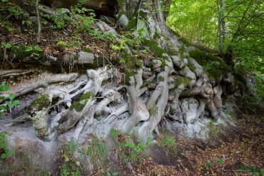 Landschaftsfotografie auf dem Himmelreich