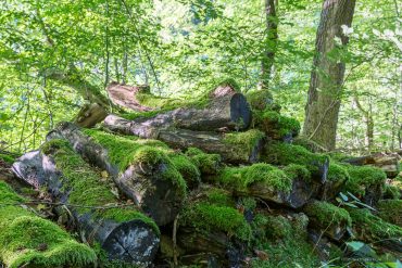 Landschaftsfotografie auf dem Himmelreich