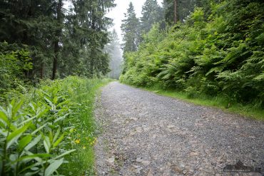Fotokurs auf dem Liebesbankweg