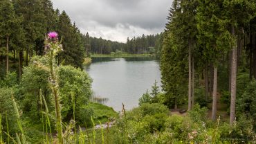 Fotokurs auf dem Liebesbankweg