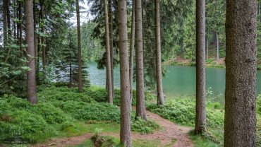 Fotokurs auf dem Liebesbankweg