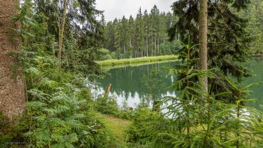 Fotokurs auf dem Liebesbankweg