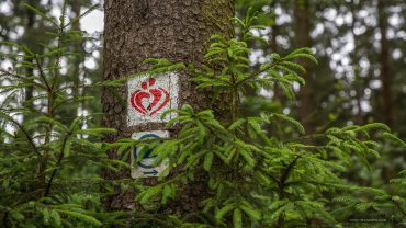 Fotokurs auf dem Liebesbankweg
