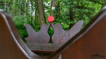Fotokurs auf dem Liebesbankweg