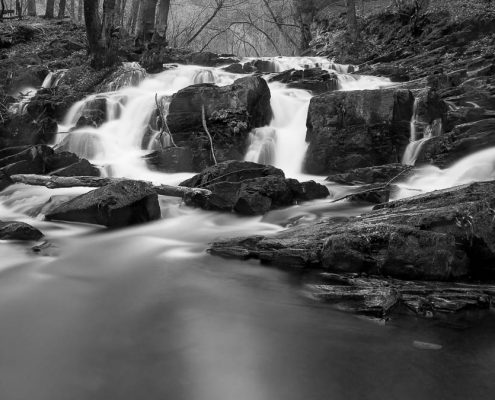 Selkefall im Harz