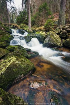 Fotowanderung-Junggesellenabschied © Leon Belz