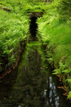 Fotowanderung Oberharzer Wasserregal - Huttaler Widerwaage