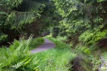 Fotowanderung Oberharzer Wasserregal - Huttaler Widerwaage