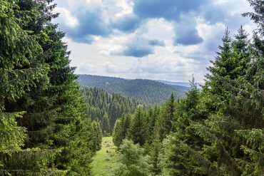 Fotowanderung Oberharzer Wasserregal - Huttaler Widerwaage